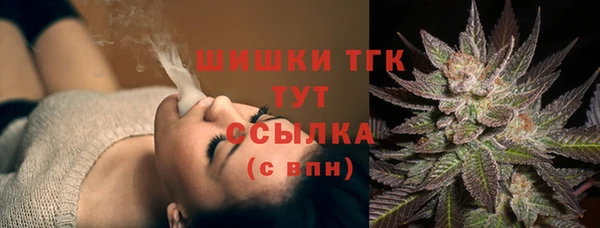 стаф Баксан