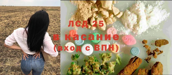 стаф Баксан