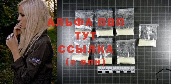 стаф Баксан