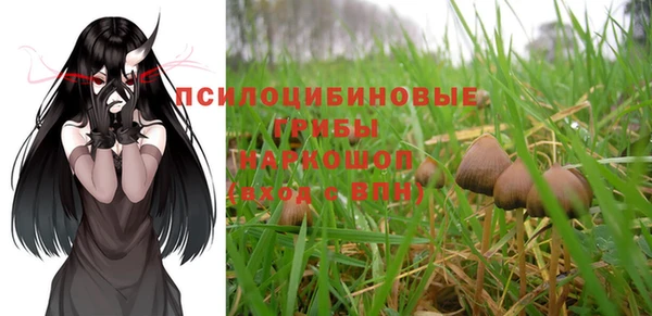 стаф Баксан