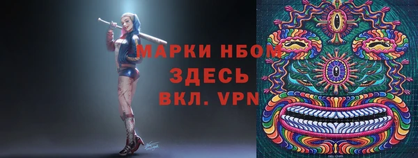 стаф Баксан