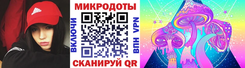 Галлюциногенные грибы Psilocybe  Всеволожск 